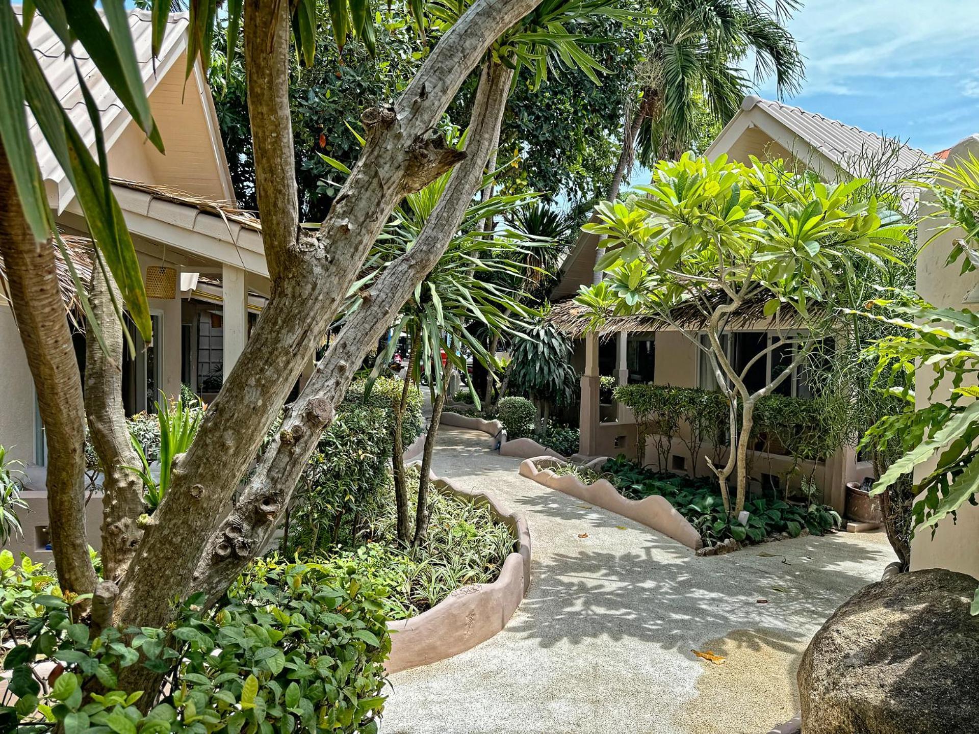 Blue Turtle Hotel Samui пляж Чавенг Екстер'єр фото